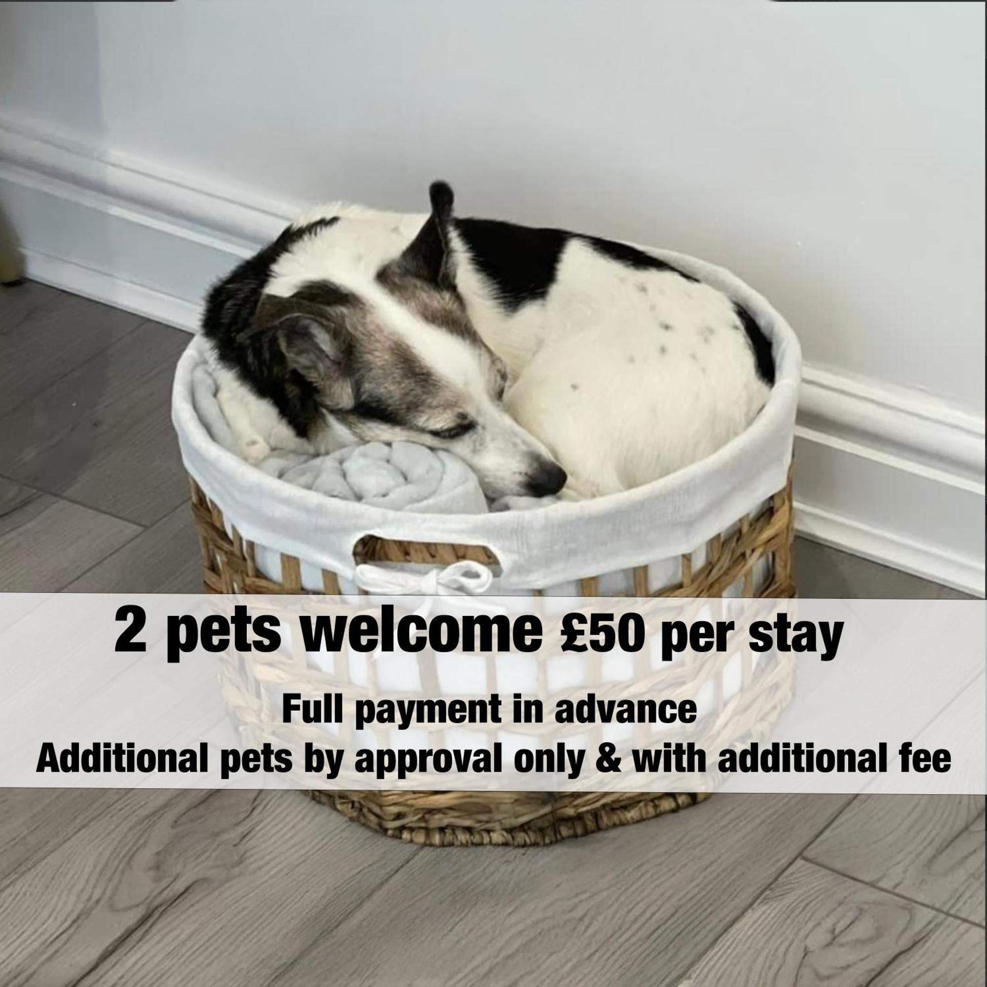 Dings House With Free Parking In Super Central South West City Location By Staystaycations Bristol Exterior photo